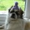 Jac Avatar