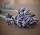 Aromatherapy