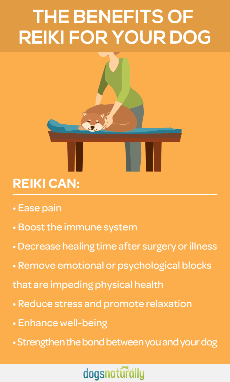 Reiki infoG 01 768x1275