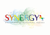 SynergyA8C 1