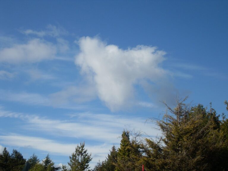 angel in the sky scaled 1 768x576