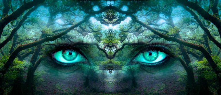 fantasy 2824304 1920 768x331