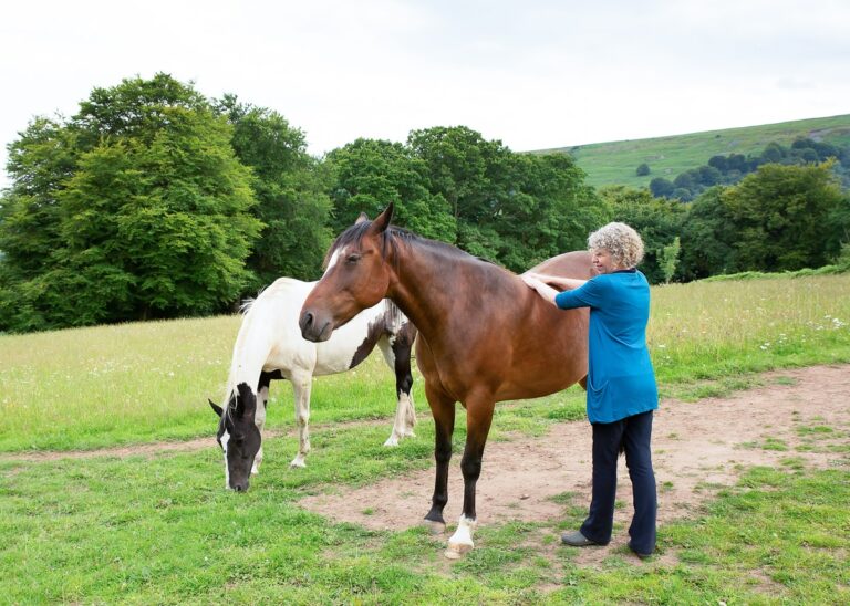 I also work with animals I also work with animals