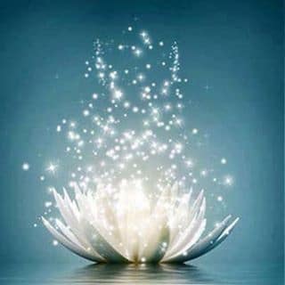 lotus explosion