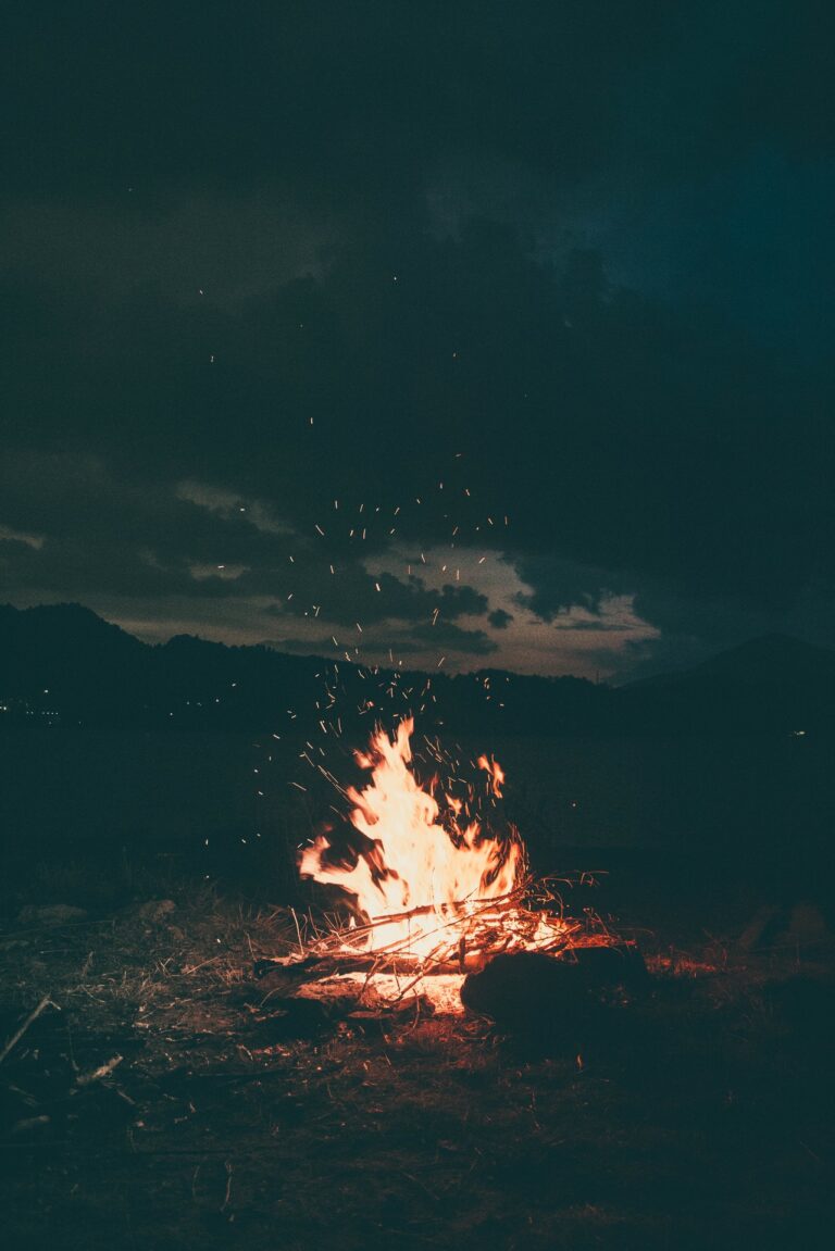 pexels vlad bagacian 1368382 768x1151