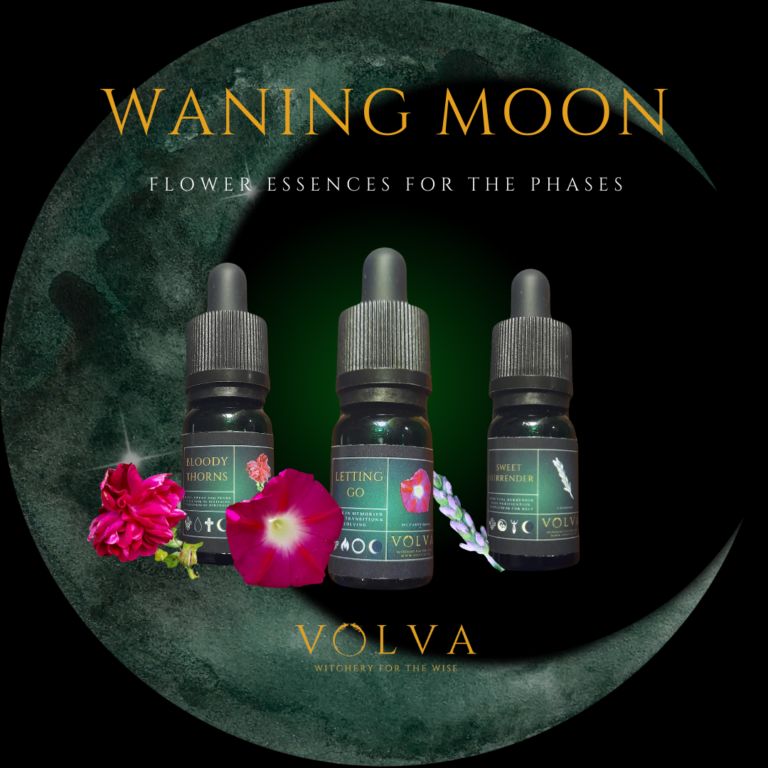 HS Flower Essences Moon Phases 768x768