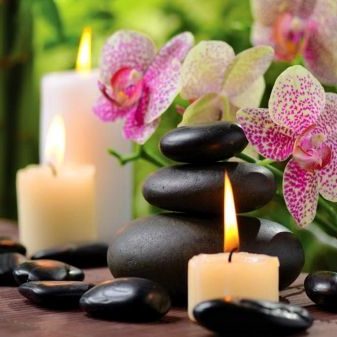 the Secret Garden Healing &#038; Holistic Therapies